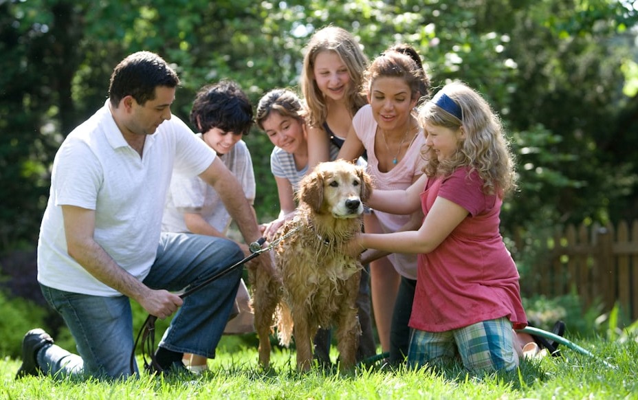 Keeping your furry pets healthy includes keeping them clean, as well. Together, this family was in the process of washing their Labrador retriever outside in the fresh air. With help from two neighbor girls, the mother, young daughter, and son, were all soaping down the dog’s coat, while the father was steadying the pet using a leash and his hand.